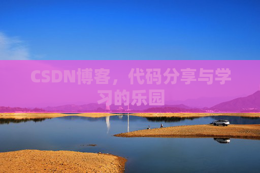 CSDN博客，代码分享与学习的乐园